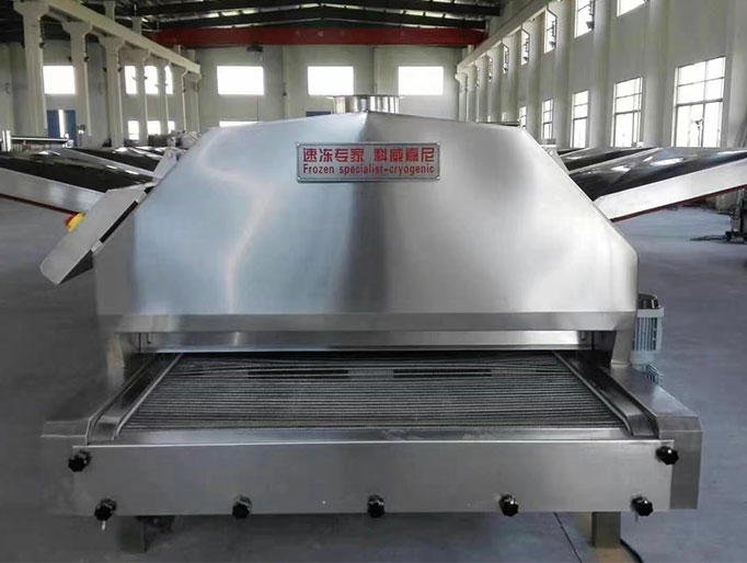 隧道式速凍設備